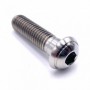 Vis à Tête Bombée Plate en Inox A4 M6 x (1.00mm) x 10mm - DIN 7380