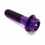 vis-titane-hexgaonale-race-moto-M10-x-125mm-x-15mm Violet