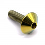 Titanium Dome Head Bolt M5 x (0.80mm) x 16mm