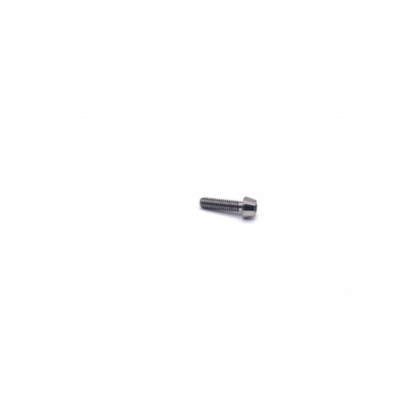 Titanium Socket Cap Bolt in Titanium M4 x (0.70mm) x 15mm