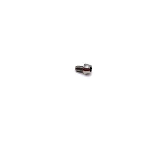 Titanium Socket Cap Bolt in Titanium M5 x (0.80mm) x 8mm