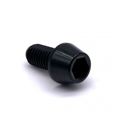 Titanium Socket Cap Bolt in Titanium M5 x (0.80mm) x 10mm