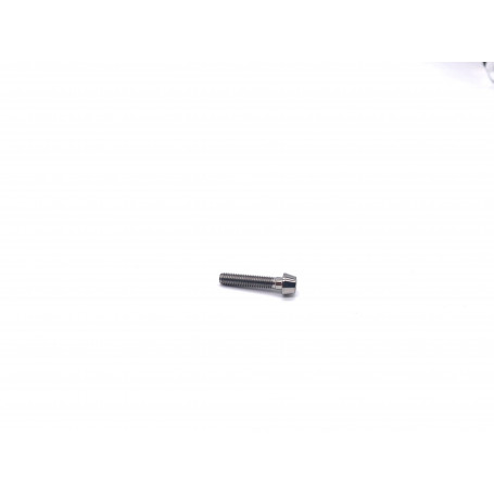 Titanium Socket Cap Bolt in Titanium M5 x (0.80mm) x 25mm