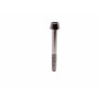 Titanium Socket Cap Bolt in Titanium M5 x (0.80mm) x 45mm