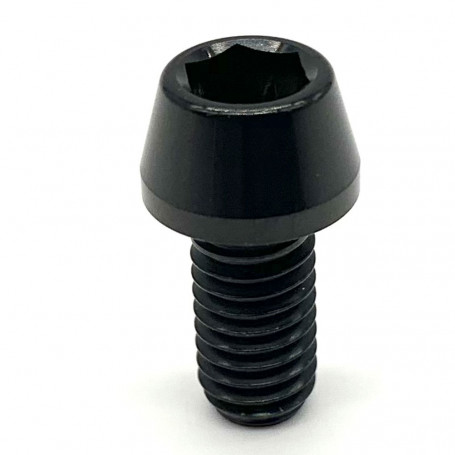Titanium Socket Cap Bolt in Titanium M6 x (1.00mm) x 12mm