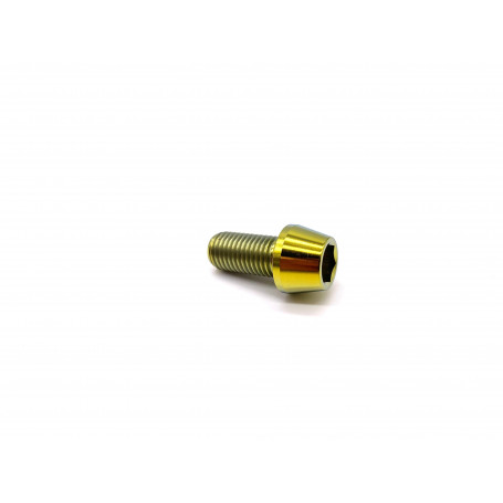 Titanium Socket Cap Bolt in Titanium M10 x (1.25mm) x 20mm