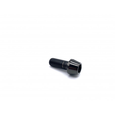 Titanium Socket Cap Bolt in Titanium M10 x (1.50mm) x 25mm