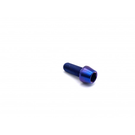 Titanium Socket Cap Bolt in Titanium M10 x (1.25mm) x 25mm
