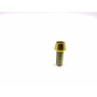 Titanium Socket Cap Bolt in Titanium M10 x (1.25mm) x 25mm
