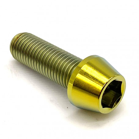 Titanium Socket Cap Bolt in Titanium M10 x (1.25mm) x 30mm