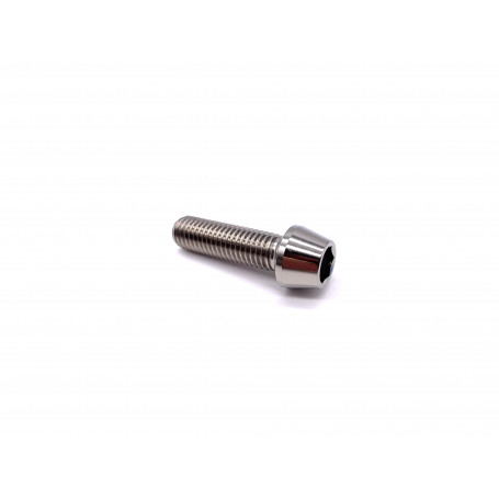 Titanium Socket Cap Bolt in Titanium M10 x (1.50mm) x 35mm