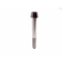 Titanium Socket Cap Bolt in Titanium M10 x (1.25mm) x 80mm