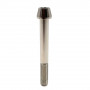 Titanium Socket Cap Bolt in Titanium M10 x (1.25mm) x 85mm