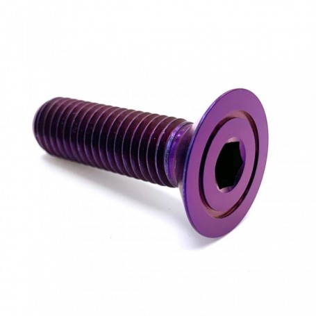 Vis Titane Fraisée en Titane M10 x (1.25mm) x 70mm Violet