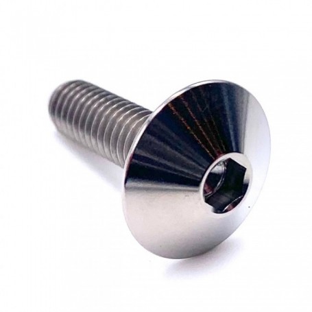 Titanium Dome Head Bolt M6 x (1.00mm) x 30mm (Diamètre de tête 12mm)